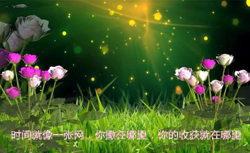 01年迷人的清清爽爽名器米娜学姐 Cos王者瑶妹 鲜嫩小亲密小入口背后靠近动作进行宫小白花落下小白花落下