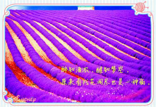 抖音网红一次米直播清凉画面讨好赞助型关系 自娱自乐一个人的秘密视频意外流出