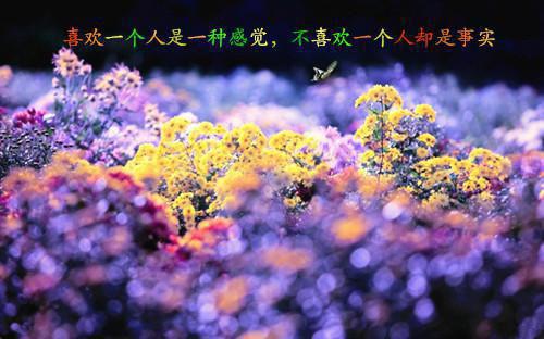抖音网红尐男装直播 飞机加微后1v1清凉模式聊 撕袜独处研究课 调侃老铁们看