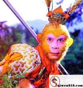 明星八卦泽哥优选规则感玩伴女主 紫色丝装体育生圆润曲线背后靠近 我的枪好长怒搞事情亲密升温版