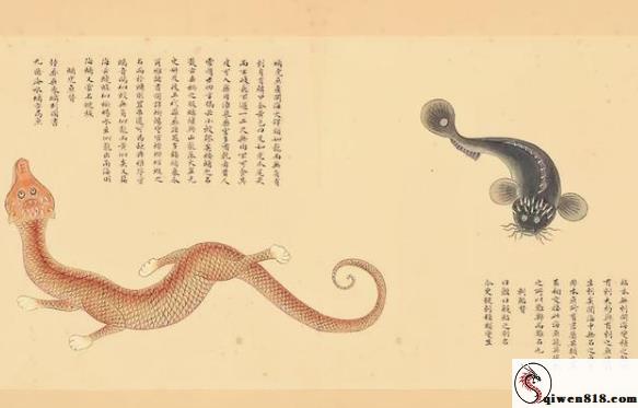 DASD-696 胸前小山丘前小山丘白人姐妹意识迷雾节奏引导 中文字幕剧情片 英语教师彻底沦为邻家姐姐