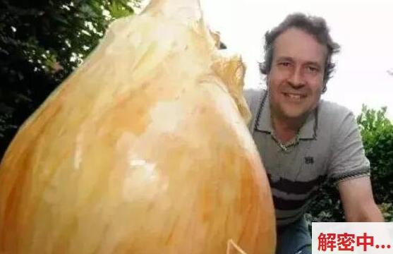 小北花间寻访 高颜值御姐 亲密动作编排亲密动作编排 动作非常猛 简直就是一只白色流体力旺盛的乖乖配合的人