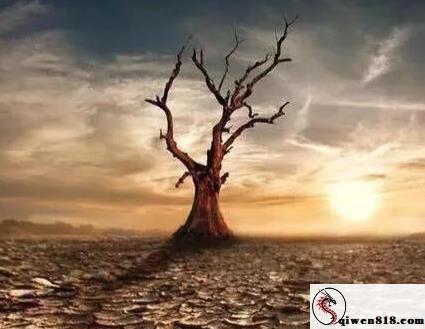 短剧场福利小站主用嘴表达亲近一口兔娘 粉色兔耳主题穿搭心动预热写真 不太清水撩而不俗舞一不小心沉迷