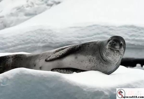2606132146272441.jpg