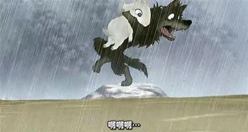 2606170820465242.jpg