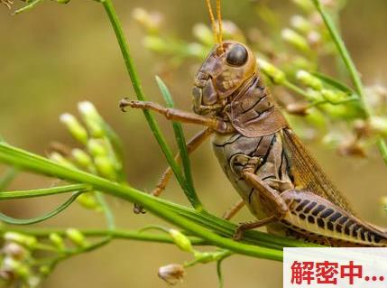 七彩新晋童颜风格风格姐妹花 06年的小甜甜 穿得很少直播 闺蜜一边哭一边被互动女性的小秘密