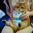 亳州在线